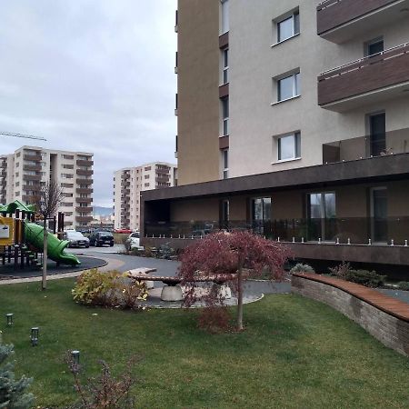 ブラショフCasa Unchiu'アパートメント エクステリア 写真